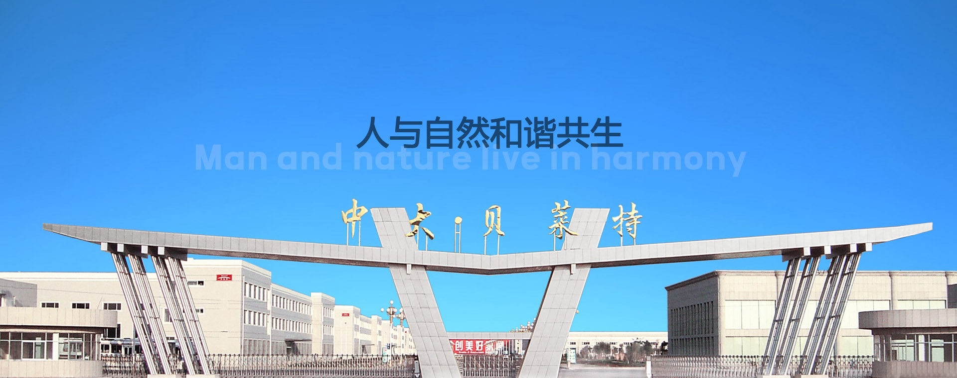 人与自然和谐共生