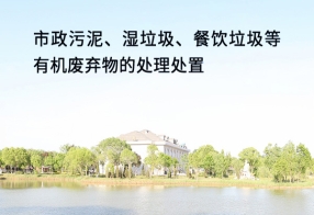 市政污泥、湿垃圾、餐饮垃圾等有机废弃物的...