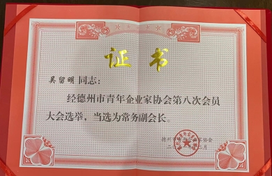 常务副会长证书
